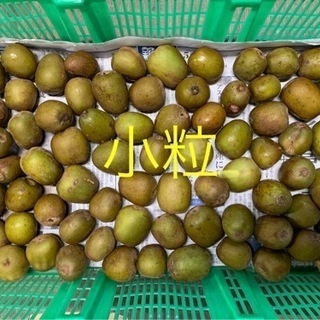 【無農薬】レインボーレッドキウイ☆訳あり5kg★未完熟品の画像