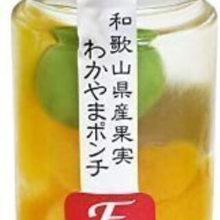 わかやまポンチ【新品】