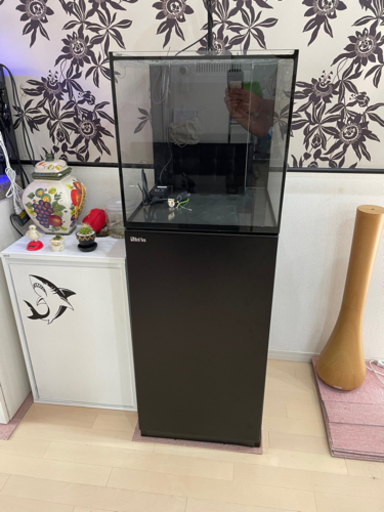 オーバーフロー水槽　Red Sea リーファーナノ　LSS AI Prime