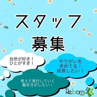 障害者就労支援　支援員　募集