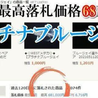 過去最高落札価格68万のプラチナブルージェイめだかの稚魚