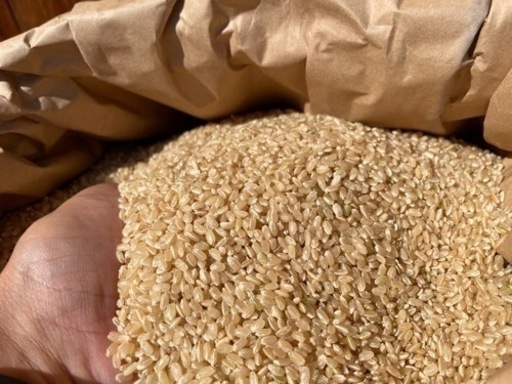 令和2年 奈良県産 ヒノヒカリ 30kg