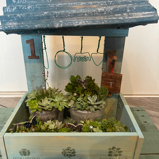 多肉植物やお花の可愛いプランターDIY.