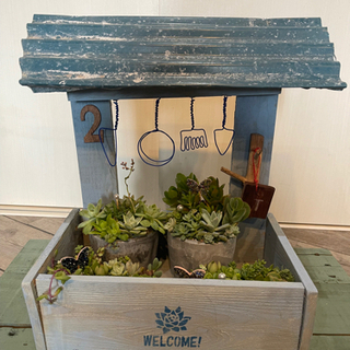 多肉植物やお花のプランターDIY1点物