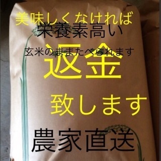 新米純こしひかり 渡部家の新米 産地直送