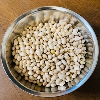 ぎんなん　100g 500円