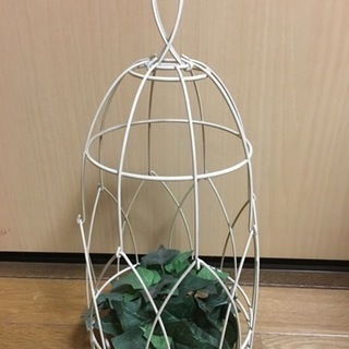 オシャレな鳥籠の画像
