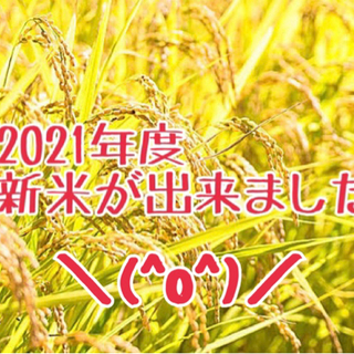 トニー様★21年度新米　30kg ★10月30日まで　減農薬、手作米　令和3年
