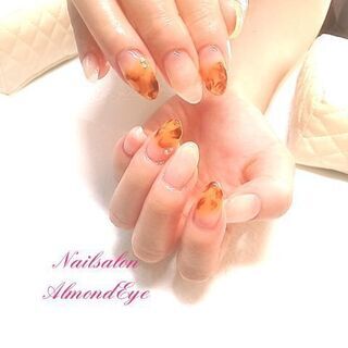 綺麗系べっ甲