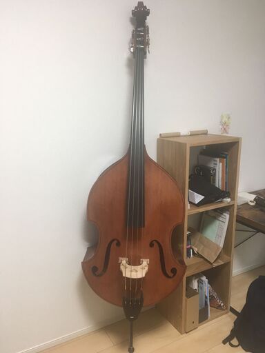 David Gage Czech Ease コントラバス