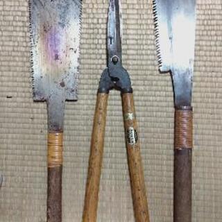 ノコギリ3本セットの画像