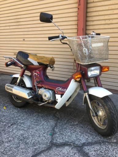 ホンダシャリー　角目　12V