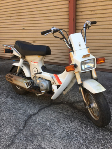 ホンダ　シャリー   角目　12V    ベース車