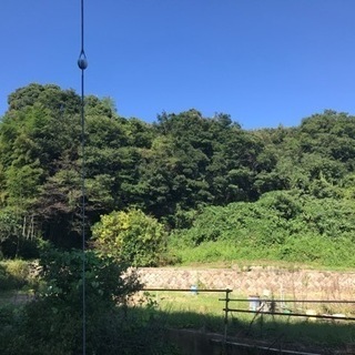 一緒にキャンプ場をつくりませんか。。