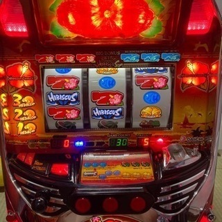 スロット実機　ハイビスカス