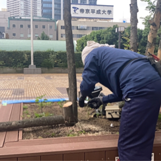 植木屋さん手伝いまたは植木屋さん見習い募集