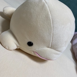 シロイルカぬいぐるみ