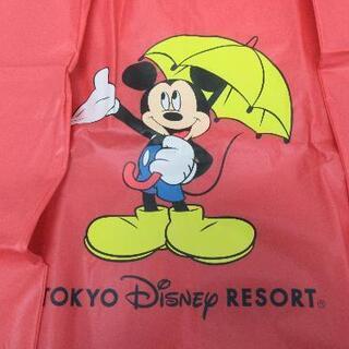 ディズニーリゾート☆レインポンチョ①☆サイズ150☆中人用(身長約150㎝)の画像