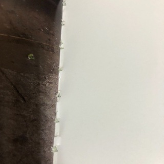 市原隼人　写真集　訳ありの画像