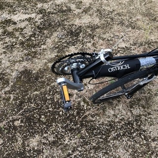 リカンベントの画像