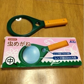 虫めがね(学習用に購入した物です)
