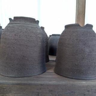 雪割草鉢（新品）