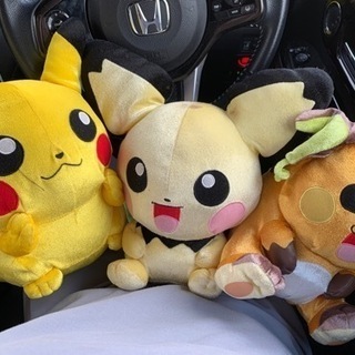 ポケモンぬいぐるみ