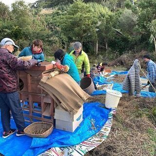 開墾します！　耕作放棄地　約１反！！ 