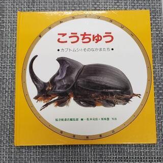 こうちゅう　甲虫　カブトムシとその仲間たち