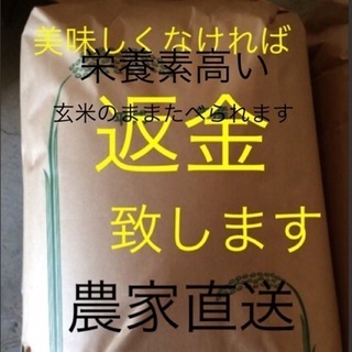 ㋿5年❗️安心❗️安全❗️特選純こしひかり30㎏ 玄米