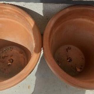 値下げ！植木鉢 2点の画像