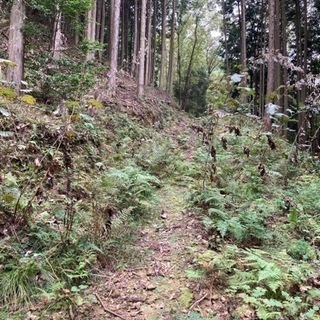 兵庫県宍粟市山崎町の山林 お譲りします - 土地販売/土地売買