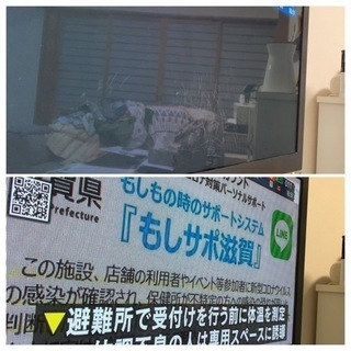 Panasonic42型プラズマテレビ 犬の爪キズあり 2008年製 TH-42PX80の画像