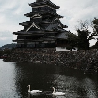 旅友募集してます − 東京都