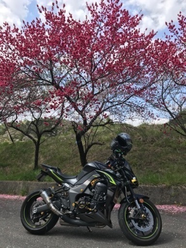 Kawasaki  Ｚ1000 2018年　Eエディション