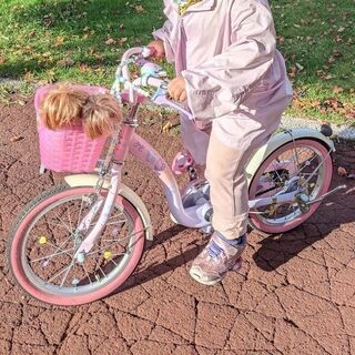アイデス IDES プリンセス ゆめカワ 16 　子ども用自転車 