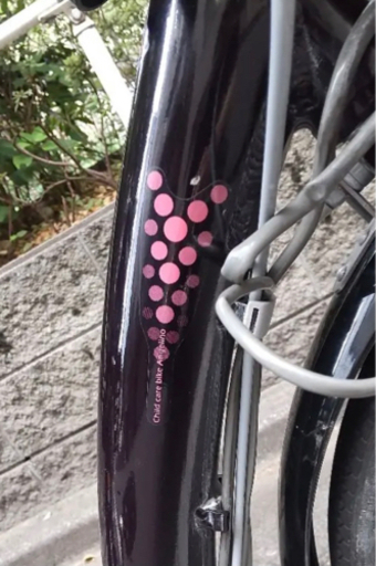 【新品:タイヤスポーク】電動アシスト自転車　アンジェリーノ