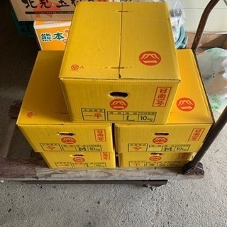 和歌山産 1ケース(10キロ)