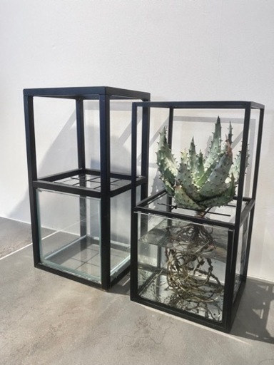 ★新モデル★Botanic Cube★水耕栽培キット 鉢 プランター アイアン