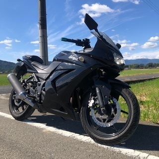 ニンジャ250