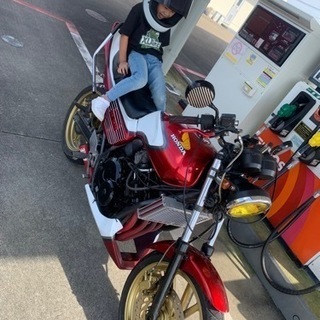 ジェイド250 商談中