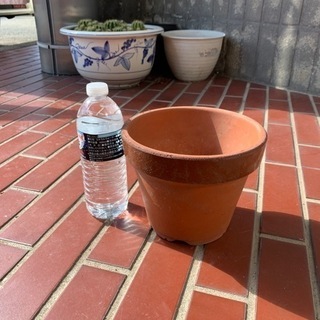 植木鉢　小
