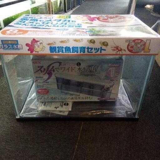 新品 40cm水槽セット フィルター付き