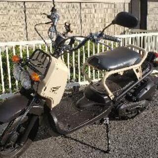 ホンダ　ズーマー【10月限定】乗って帰れます。の画像