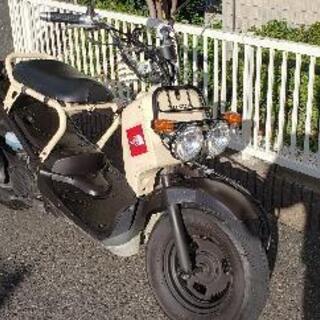 ホンダ　ズーマー【10月限定】乗って帰れます。の画像