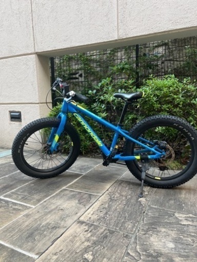 キャノンデール　子供用20インチ（説明書、保証書あり）