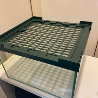 爬虫類　ペット　飼育ケース　中古