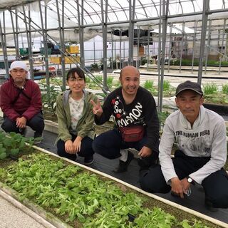 【時給1,100円以上】人と野菜に関わるハートフルな農園でのお仕事