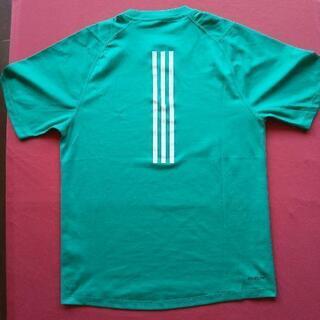 adidasとkappaのTシャツです。