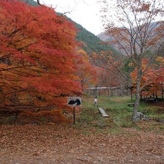 蛇石キャンプ場整備・清掃活動 (&キャンプ) - 上伊那郡